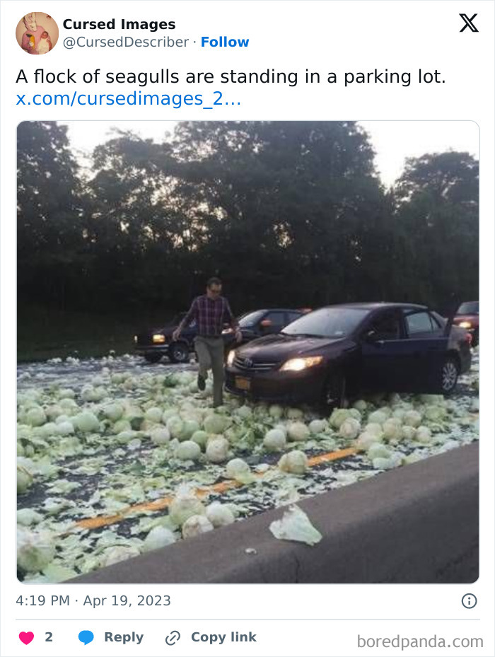 Car stuck in a road covered with scattered cabbages, a man stepping around the chaotic scene, disturbing pictures cursed vibe.