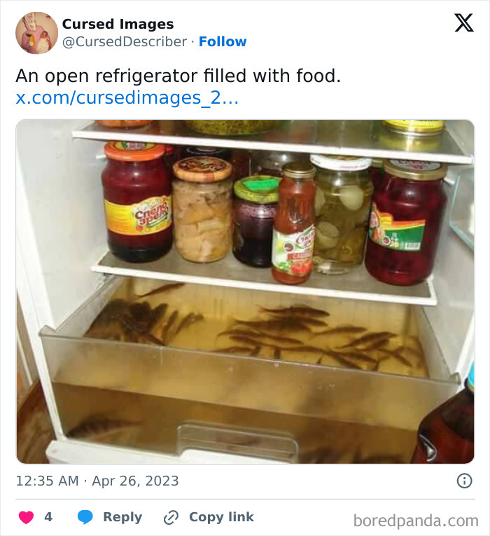 Refrigerator with jars and a drawer filled with live fish, a disturbing image that seems cursed and unsettling.