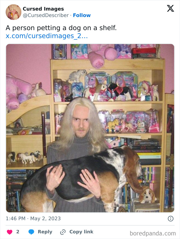 Person with long hair holding a large dog in front of a shelf filled with toys and figurines in a disturbing cursed image.