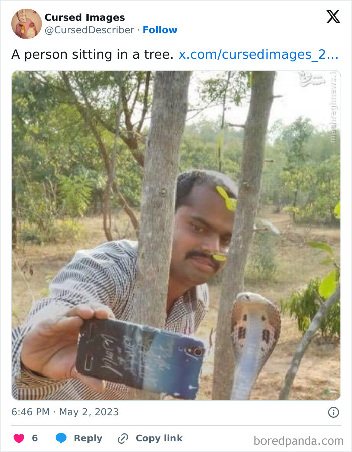 Man taking a selfie with a cobra in a forest, a disturbing picture so wrong it looks cursed.