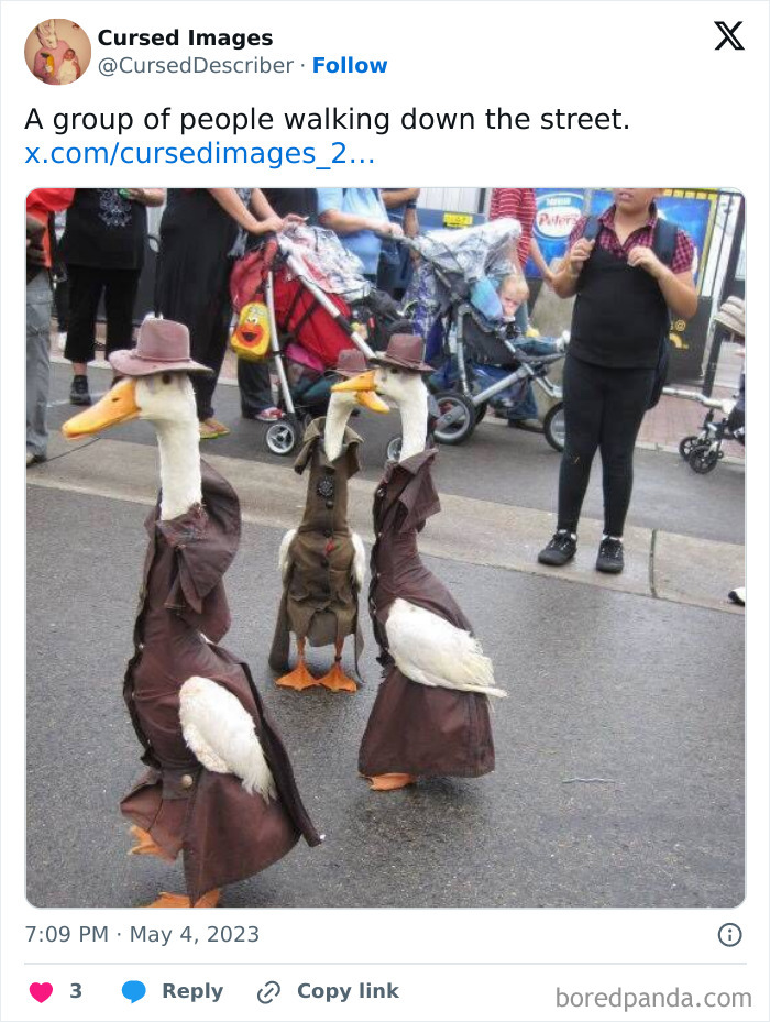 Three ducks dressed in human clothes and hats walking on a street, creating a disturbing and cursed image.