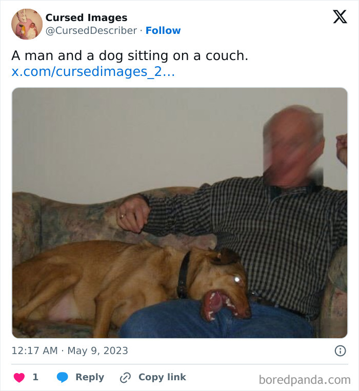 Blurry man on couch with dog biting pants, showcasing disturbing and cursed image moments.