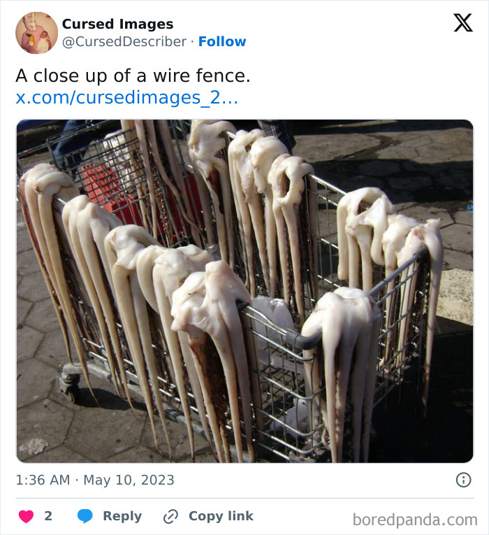 Octopus tentacles draped over a wire fence in a disturbing and cursed image showing unsettling oddities.