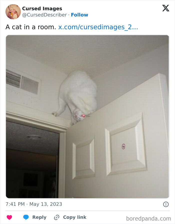 White cat perched awkwardly on doorframe with glowing red eyes in disturbing cursed picture vibe.