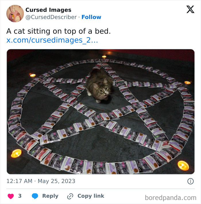 Cat sitting inside a disturbing cursed pentagram made of packets and surrounded by lit candles on a dark floor.