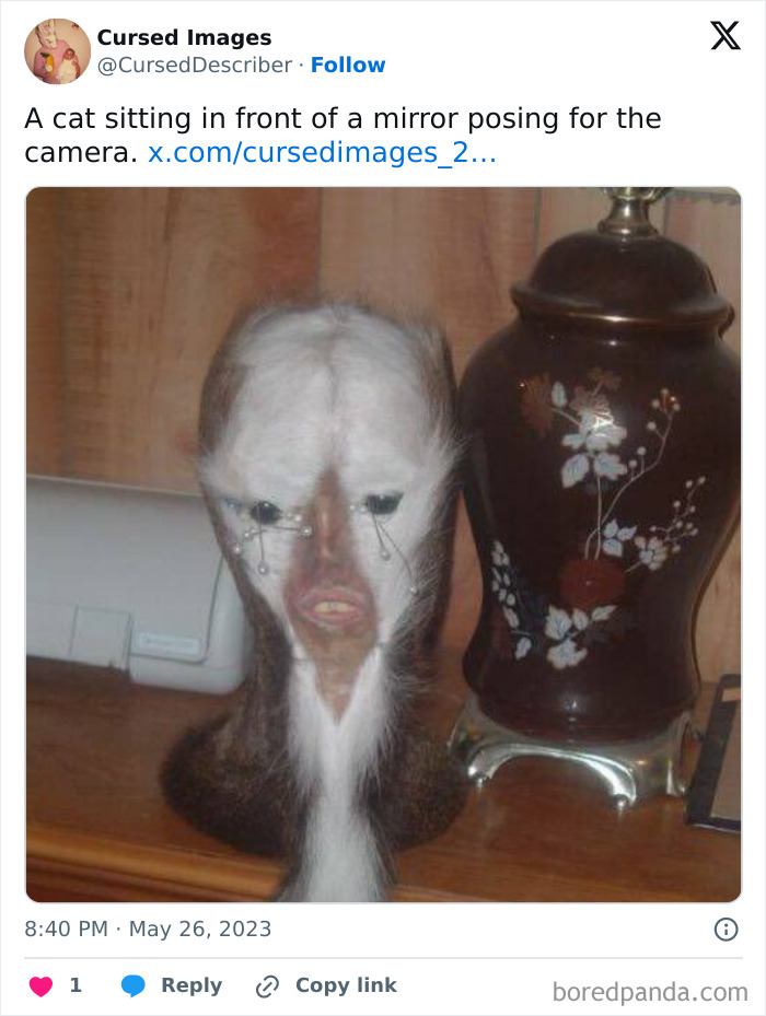 Disturbing picture of a distorted animal face with human-like features next to a decorative vase on a wooden surface.