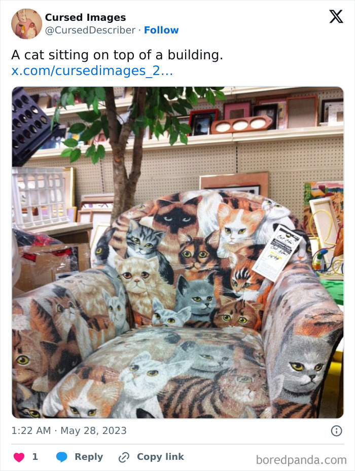 Upholstered chair covered in realistic cat images, creating a disturbing and cursed visual effect in a cluttered store setting