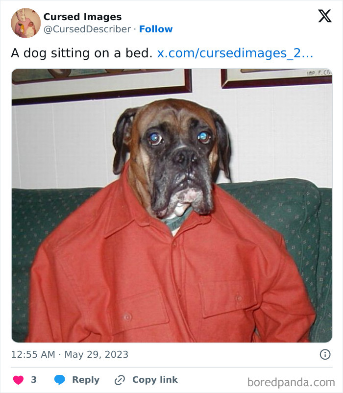 A disturbing cursed image of a dog wearing an oversized red shirt sitting unnaturally on a green couch.