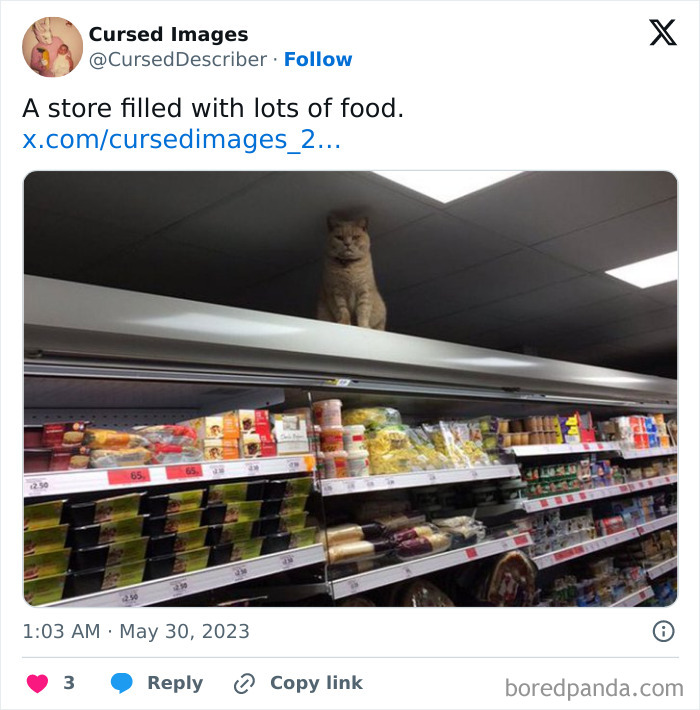 Cat sitting on top of a grocery store shelf filled with various packaged foods, a disturbing cursed image.