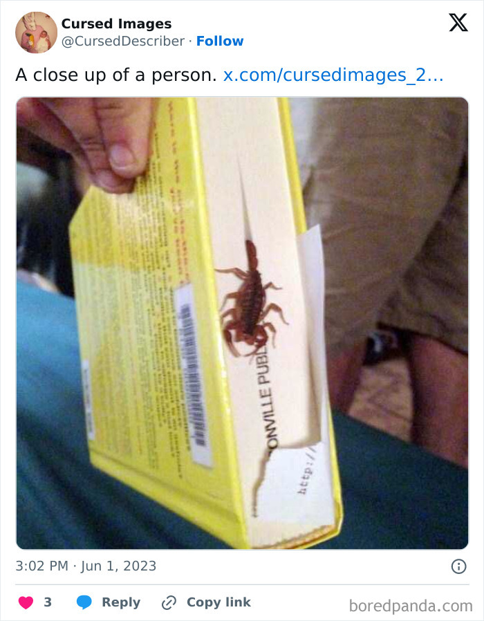 Scorpion crawling inside a book, creating a disturbing and cursed image of unexpected danger.