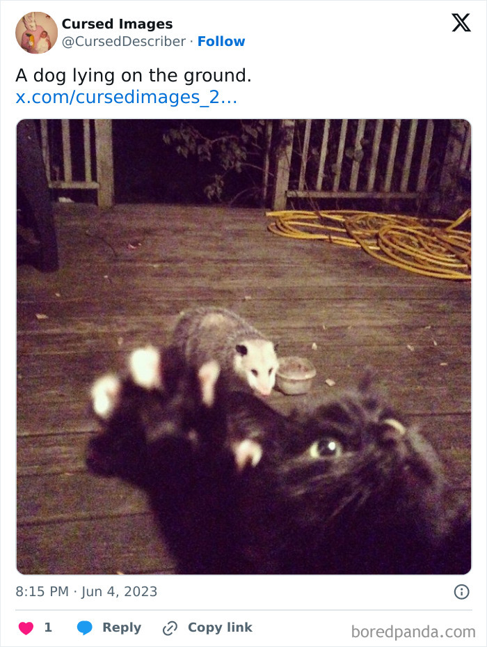 A disturbing image of a cat reaching forward with a possum on a wooden deck at night, eerie and cursed vibe.