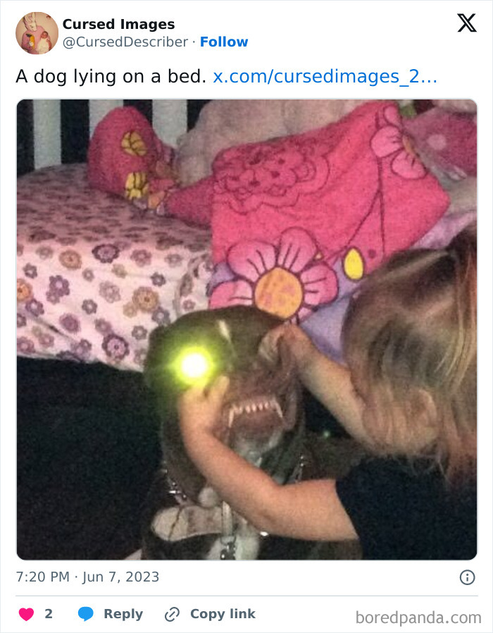 A disturbing cursed picture of a child holding a dog with glowing eyes and snarling teeth on a bed.