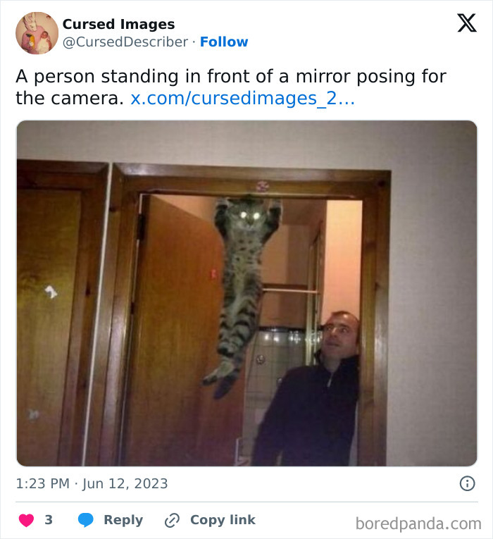A disturbing picture of a cat hanging midair with glowing eyes while a man looks on in shock.