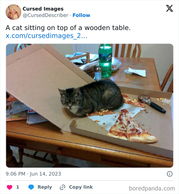 A cat sitting inside a pizza box on a wooden table causing a disturbing and cursed scene.