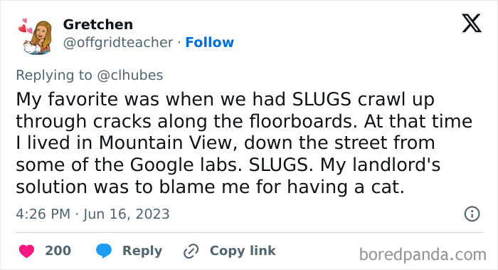 Tenant shares a story about slugs crawling through floor cracks and a landlord blaming the tenant for having a cat.