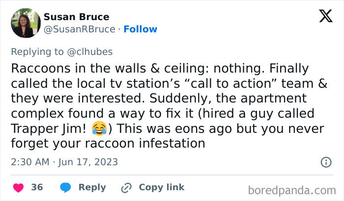 Tweet about raccoon infestations in rental walls and ceiling showing landlords ignoring tenant complaints before action was taken.