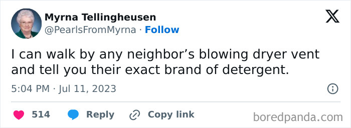 Twitter screenshot of the internet’s funniest grandma sharing a sharp, witty joke about laundry detergent brands.