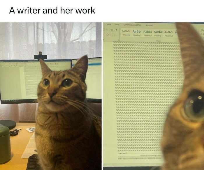 Adorable cat sitting in front of computer screens, humorously portrayed as a hardworking feline in a cozy workspace.