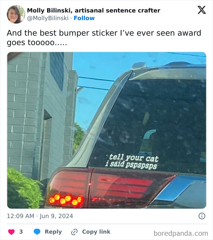 Funny bumper sticker on a car window saying tell your cat i said pspspsps, captured in a clever road photo.