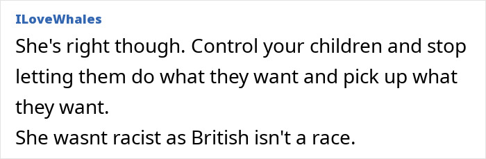 Screenshot of an online comment discussing British woman losing patience and being lectured on parenting during holiday. Screenshot of an online comment discussing British woman losing patience and being lectured on parenting during holiday.