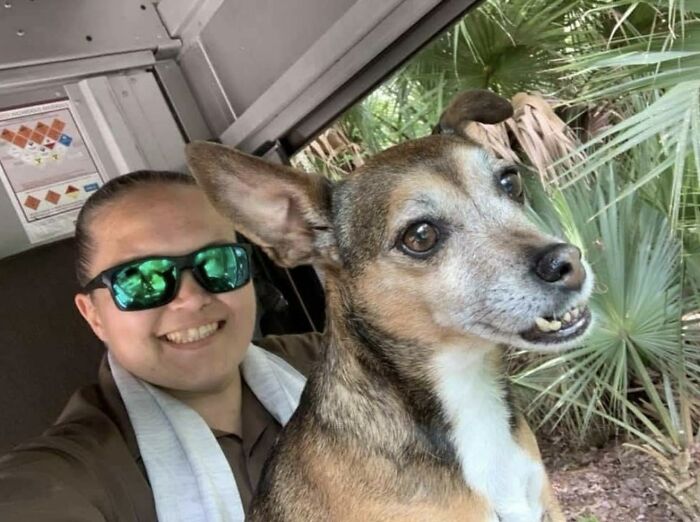 UPS driver wearing sunglasses smiling with an adorable dog in a delivery truck surrounded by green plants outdoors