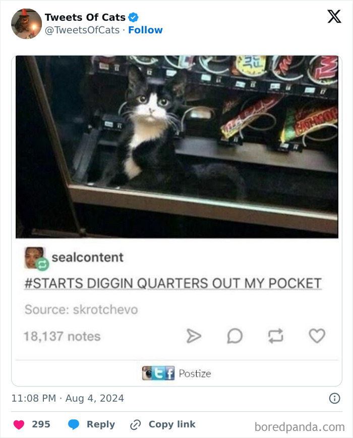 Black and white cat trapped inside a vending machine, showcasing quirky cat memes proving their delightfully odd nature.