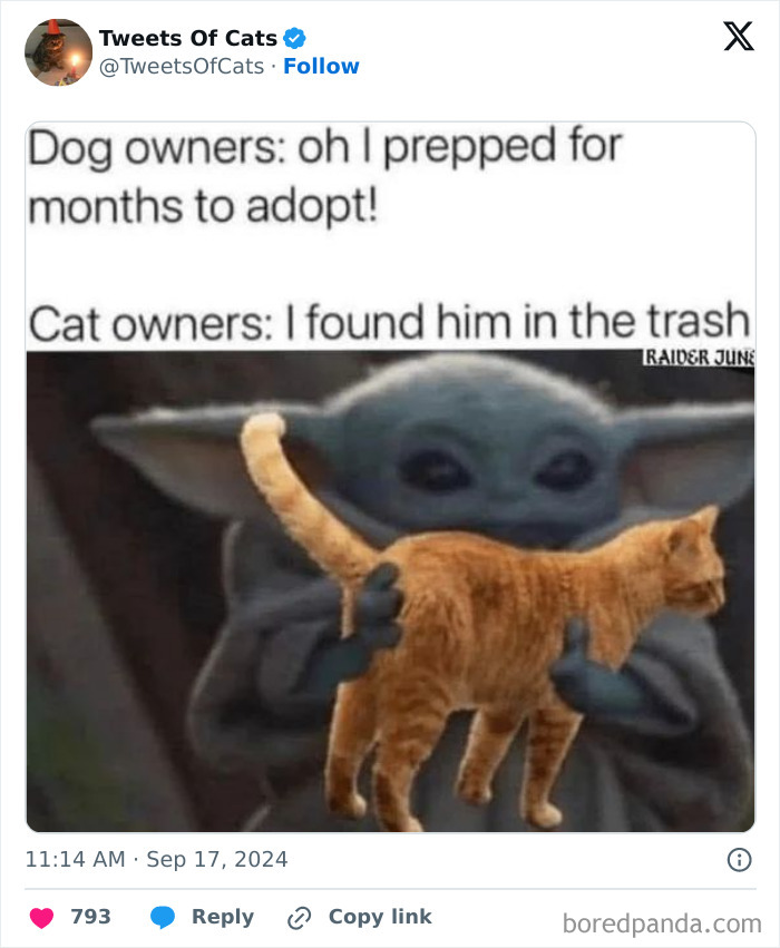 Funny cat meme showing Baby Yoda holding an orange cat with text contrasting dog and cat owners in quirky cat memes.