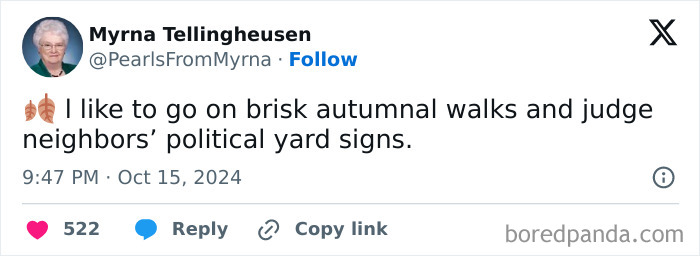 Elderly woman sharing witty jokes on social media, showcasing internet’s funniest grandma with sharp humor and knitting background.