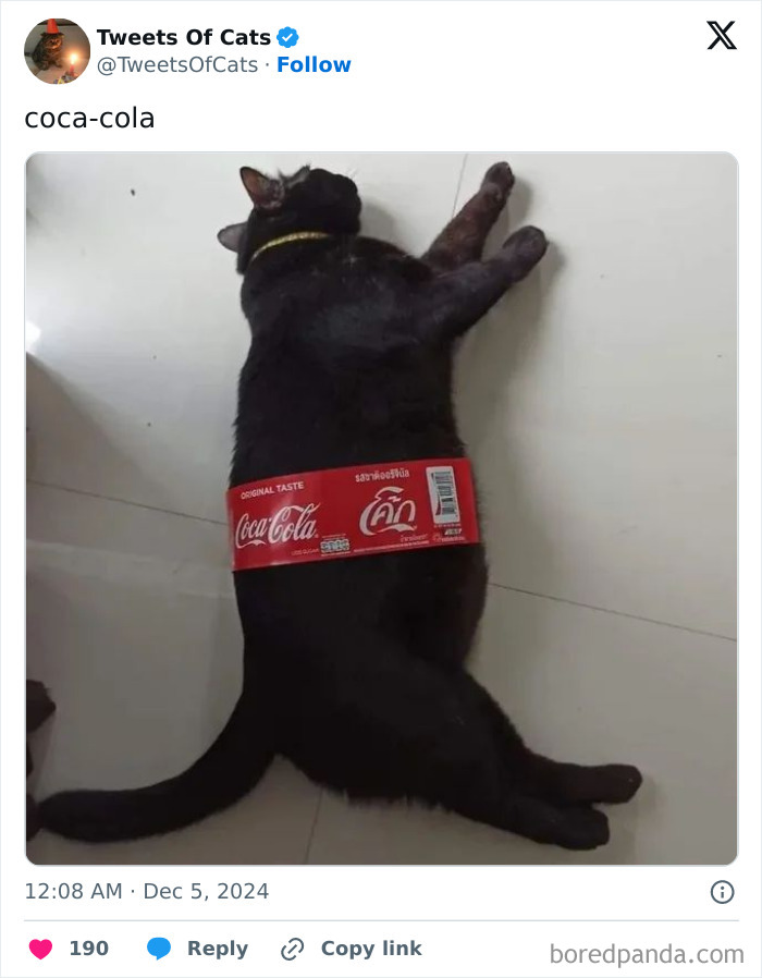 Black cat lying on floor with a Coca-Cola bottle label wrapped around its body, showing quirky cat meme humor.