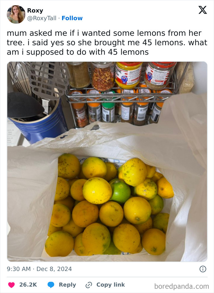 Bag filled with 45 lemons in a kitchen setting, illustrating a viral meme from a page known for random and viral memes.