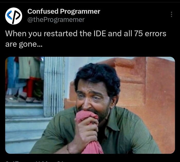 Programmer laughing and relieved after restarting IDE, capturing a funny meme programmers created when not coding.