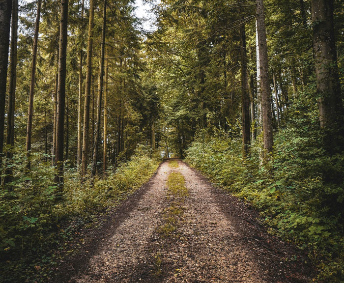 49 Police Officers Share The Most Horrifying Things They’ve Witnessed On Duty (Trigger Warning)