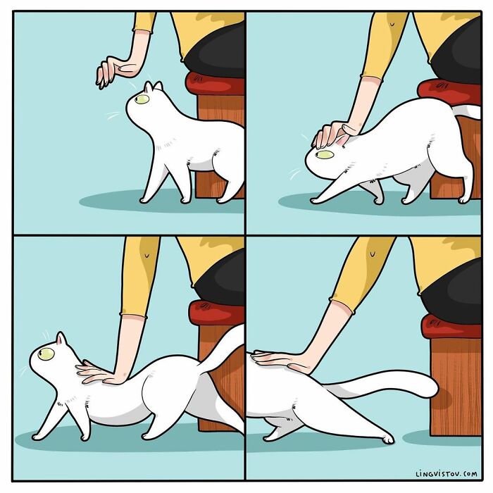 Comic panels showing a white cat stretching and being petted by a person, illustrating relatable cat owner moments.