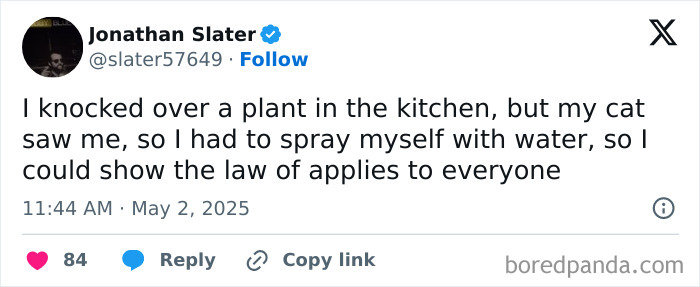 Tweet about knocking over a plant and spraying water to show the law of apples, illustrating people hilariously speaking their truth.