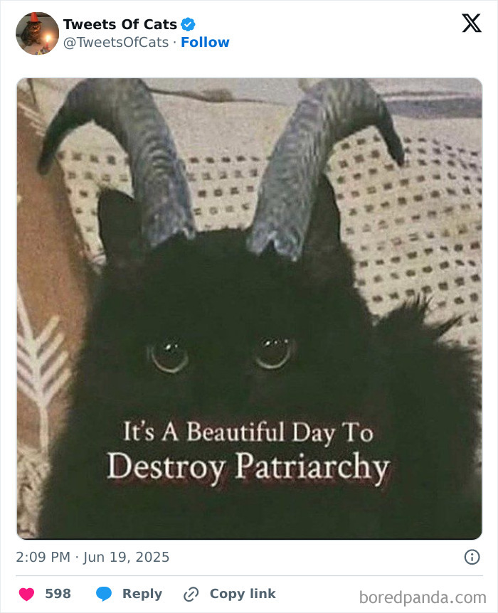 Black cat with twisted horns and text about destroying patriarchy, showcasing quirky cat memes as delightfully odd creatures.
