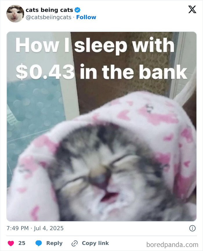 Sleeping kitten wrapped in a pink blanket, humorously representing cats being funny just by being themselves.