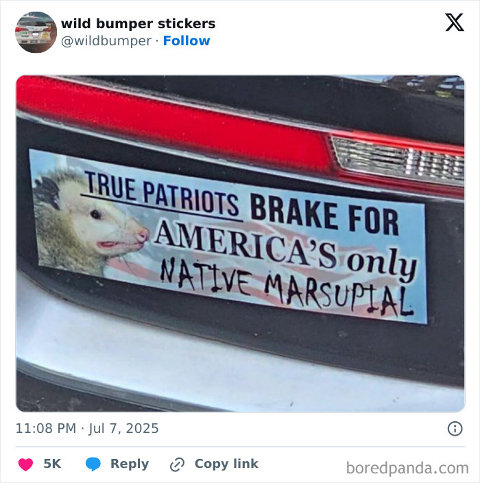 Bumper sticker on car with a humorous message about true patriots braking for America's only native marsupial.