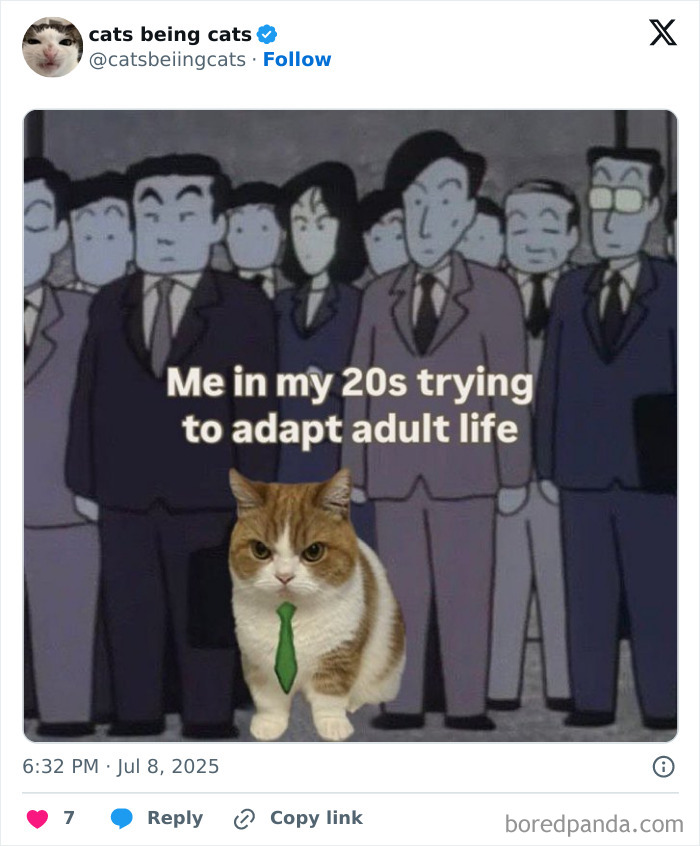 Cat wearing a green tie among serious people, humorously showing cats being funny by just being themselves.
