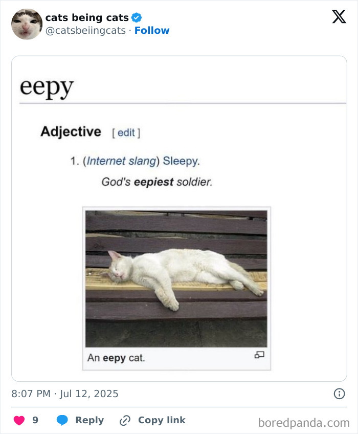 Screenshot of a humorous post defining sleepy cat as eepy with a photo of a cat lying down, showcasing cats being funny.
