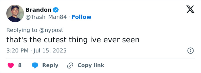 Tweet from user Brandon expressing that the giant baby birth image is the cutest thing seen, related to doctors' alarm on rise. Tweet from user Brandon expressing that the giant baby birth image is the cutest thing seen, related to doctors' alarm on rise.