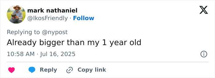 Social media user commenting on the concerning rise in giant baby births, highlighting public reaction to doctors' alarm. Social media user commenting on the concerning rise in giant baby births, highlighting public reaction to doctors' alarm.