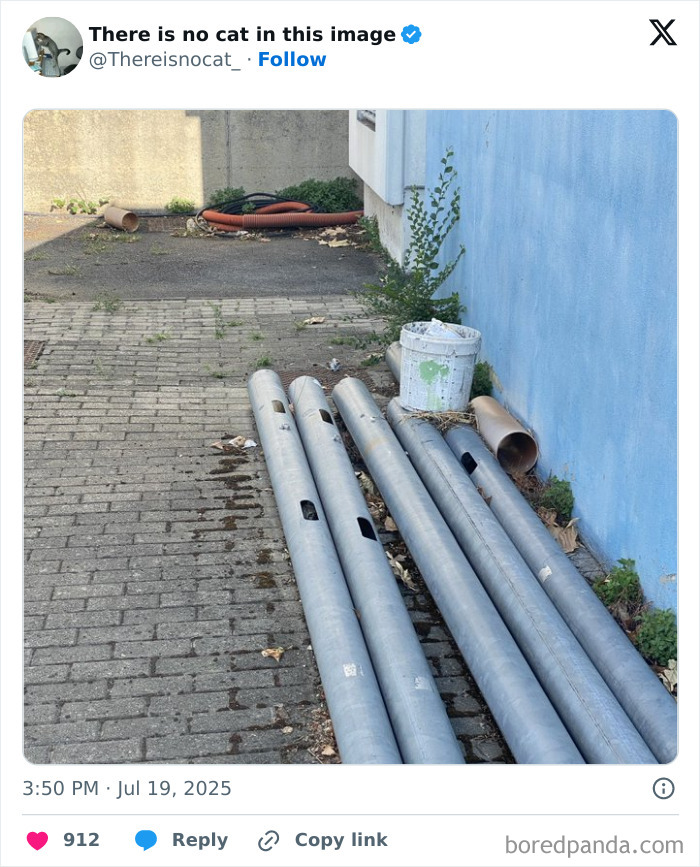 Cat camouflaged against metal pipes and blue wall, seamlessly merging into the background in an outdoor urban setting.