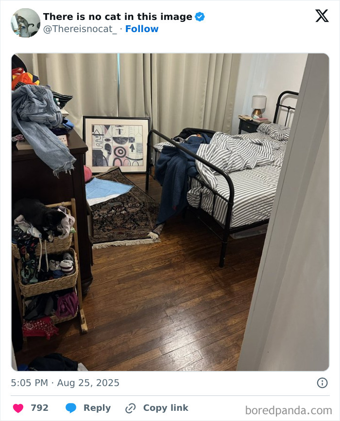Cat seamlessly merged into the background on cluttered shelves in a bedroom with striped bedding and wooden floors.