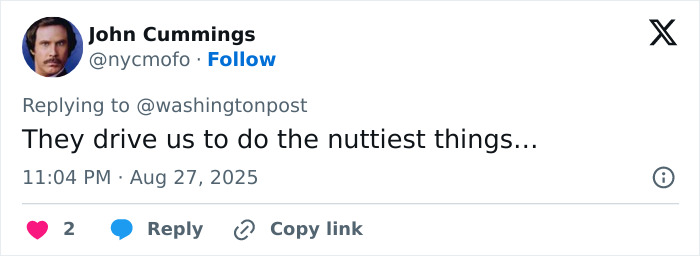 Screenshot of a tweet by John Cummings replying about behavior, related to husband's final texts to wife after faking passing.