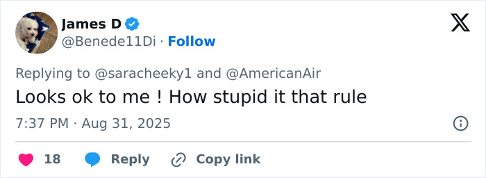 Tweet by user James D responding about flight attendant rule, discussing big breasts discrimination in airline dress code dispute.