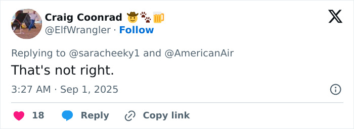 Screenshot of a social media reply criticizing discrimination against big breasts by a flight attendant.