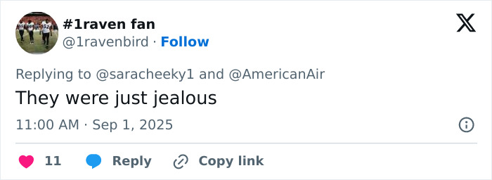 Screenshot of a social media reply commenting on big breasts discrimination involving a flight attendant and model controversy.