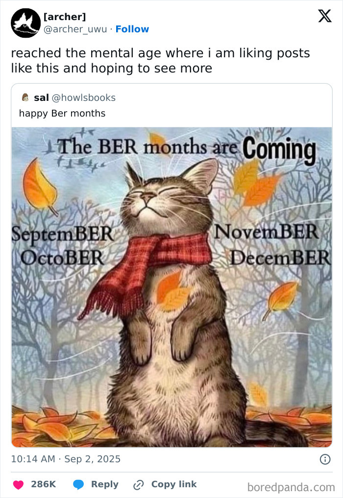 Funny tweet featuring a cat in a scarf with falling leaves, celebrating the BER months in the funniest tweets of September.