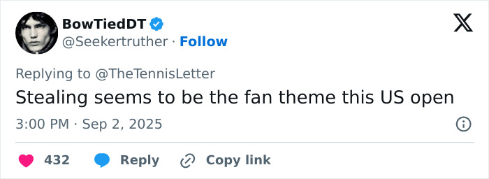 Tennis Fan Tries To Steal From Jannik Sinner's Bag In Viral US Open Moment, Player Responds