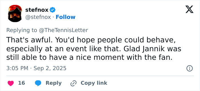 Tennis Fan Tries To Steal From Jannik Sinner's Bag In Viral US Open Moment, Player Responds